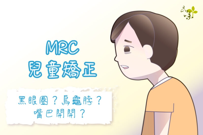 牙齒清潔工具 三合一牙線和牙橋穿引線