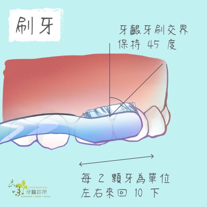 牙齒清潔 將牙刷呈四十五度角兩顆來回刷